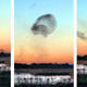 Illustration for article titled You Wont Believe These Patterns Created by Flocks of Birds in Flight